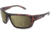 WarBird Enfilade Glasses