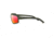 WarBird Sleeper Cell Glasses