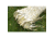 WILDFOWLER Hunting Grass Mats 4x4 in (Carton includes four), Tan, 4X4 WFO390