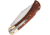 Winchester Large Lockback Wood