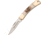 Winchester Small Stag Lockback
