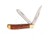 Winchester Trapper with Gift Tin
