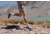 Wolverine Agility Peak 5 Trail Running Shoes - Mens, Stucco/Beluga, 10 US, J068697-10