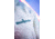 Woodpecker Teddy Fleece Track Pants, Cream, L, WPU002B-CRE-L