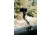 XtraArm Quick Clamp Shooting Rest w/ Ball Head adapter, Black, XTRA-QCCAM