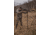 XtraArm Solo Shooting Stick w/ Double Yoke