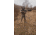 XtraArm Solo Shooting Stick w/ Double Yoke