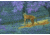 Shinenyx AIM101 384 5.2x48mm Thermal Imaging Rifle Scope, 384x288, Black, AIM101