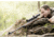 Zeiss Conquest V4 6-24x50mm 30mm Tube Rifle Scope, Second Focal Plane, ZBR-1 Reticle, Black, 522951-9991-080