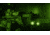 ZeroBlindSpot 0BS-2 IR + White Rechargeable LED Weapon Light, Black, Small, 0002