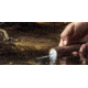12 Survivors GeoSpark Waterproof Flashlight,150 Lumens TS23001