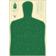 Action Target B-27E Economy Silhouette Target, Pack of 100, Green, B-27E GREEN