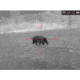 AGM Global Vision Varmint LRF TS50-384 Thermal Imaging Rifle Scope W/Laser Range Finder, 4-32x50mm, 384x288, 50Hz, Black, 8.5 3.1 4.2, 3142455306RA51