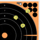 Allen EZ-Aim Adhesive Splash Bullseye Target, 5 Per Pack, Orange, 12x12in, 15317