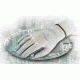 Ansell Healthcare HyFlex Static Control Gloves, Ansell 205590