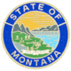 ASP State Seal Logo Cap, Brass - Montana 54166