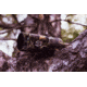 ATN X-Sight-4K 5-20x Pro Edition Smart Day/Night Hunting Rifle Scope, Mossy Oak Break-Up Country, DGWSXS5204KPBC