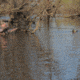 Avery Outdoors 18ft Decoy Retriever 90318
