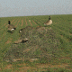 Avery Outdoors KillerWeed Layout Blind Kit,Winter Wheat 47304