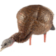 Avian X HDR Feeding Hen Decoy, Synthetic, AVXAVX8107