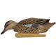 Avian X Topflight Blue-Winged Teal Decoy, AVX-AVX8080