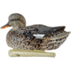 Avian X Topflight Gadwall Decoy, AVX-AVX8085