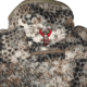 Badlands Silens Vest - Mens, Approach Fx, Medium, 21-42201