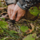 Barronett Blinds Pentagon Hunting Blind, Backwoods Camouflage PT550BW