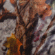 Barronett Blinds Prowler 300, Blood Trail Camo, PR300BT