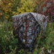 Barronett Blinds Prowler 350 Hunting Blind, Bloodtrail Woodland Camo, 012642022289
