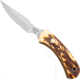 Bear and Son Knives Ergonomic Caper Fixed Blade Knife, 2.5in, High Carbon Stainless Steel, Stag Delrin Handle, SD42