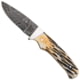 Bear and Son Knives Skinner Fixed Blade Knife w/ Leather Sheath, 2.38in, High Definition Damascus Steel, Genuine India Stag Bone Handle, 548D