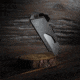 Big Idea Design TPT Slide EZ Pocket Tool, BIG010DLC
