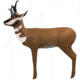 BIGshot Real Wild Pronghorn Antelope Target, Brown 86306