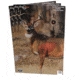 Birchwood Casey Dirty Bird PreGame Animal Targets Deer 16.5x24 Inch 3 Per Package, BC-35401