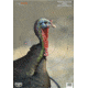 Birchwood Casey Dirty Bird PreGame Animal Targets Turkey 12x18 Inch 8 Per Package, BC-35403