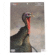Birchwood Casey Dirty Bird PreGame Animal Targets Turkey 12x18 Inch 8 Per Package, BC-35403