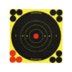 Birchwood Casey Shoot-N-C 6 Inch Round Bullseye 12 Targets 48 Pasters, BC-34512