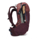 Black Diamond 30L Pursuit Backpack - Womens, Cherrywood/Ink Blue, Medium, BD6800299492MED1