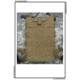 BlackHawk S.T.R.I.K.E. ASIP Radio Pouch Coyote Tan 38CL99CT-GSA