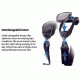 Bobster Sport &amp; Street Interchangeable Lenses
