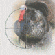 BSA Optics - Turkey Reticle