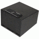 Bulldog Cases &amp; Vaults 11.5in x 10in x 8in Magnum Biometric Pistol Vault w/Shelf, Black, BD4040B