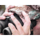Burris Signature HD 10x42mm LRF Roof Prizm Rangefinder Binocular, Black, 300299