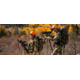 Burris Signature HD 20-60x85mm Spotting Scope, Green/Gray, 300103