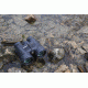 DEMO, Bushnell H2O 10x42mm Roof Prism Binoculars, Clam Pack, 150142C