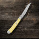 Case Kickstart TrapperLock Folding Knife, 4.13 in, Tru-Sharp Surgical Steel, Yellow Synthetic Handle, 81094
