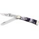 Case Trapper Stainless Knife CA9254PP