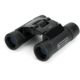 Celestron UpClose G2 10x25 Binoculars, Box 71232