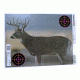 Champion Traps and Targets VisiColor Real Life Big Game Deer/Bear/Antelope Four Of Each for 12 Total Targets Per Package, 45829